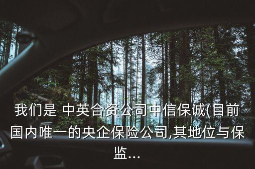 我們是 中英合資公司中信保誠(目前國內唯一的央企保險公司,其地位與保監(jiān)...