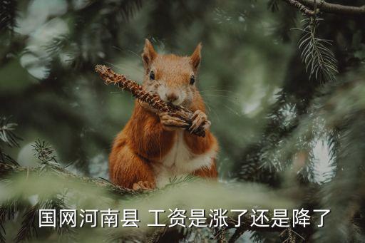  國(guó)網(wǎng)河南縣 工資是漲了還是降了