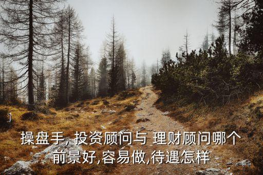 操盤手, 投資顧問與 理財(cái)顧問哪個前景好,容易做,待遇怎樣