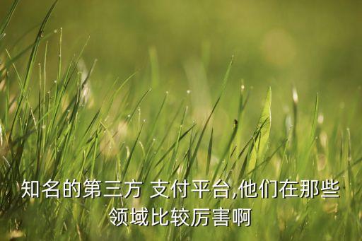 知名的第三方 支付平臺,他們在那些領(lǐng)域比較厲害啊