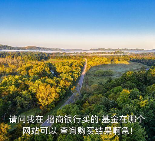 請問我在 招商銀行買的 基金在哪個網(wǎng)站可以 查詢購買結果啊急!