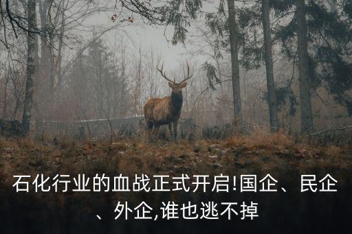 石化行業(yè)的血戰(zhàn)正式開啟!國企、民企、外企,誰也逃不掉
