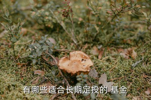 什么基金沒(méi)有手續(xù)費(fèi),在什么地方買(mǎi)基金手續(xù)費(fèi)最低