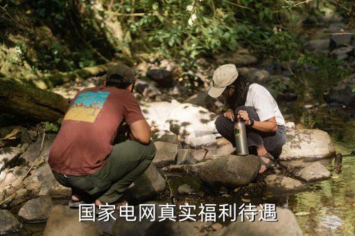 國(guó)家電網(wǎng)真實(shí)福利待遇