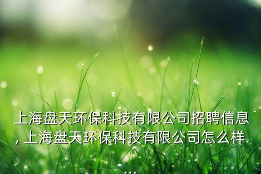 上海盤天環(huán)保科技有限公司招聘信息, 上海盤天環(huán)?？萍加邢薰驹趺礃?..