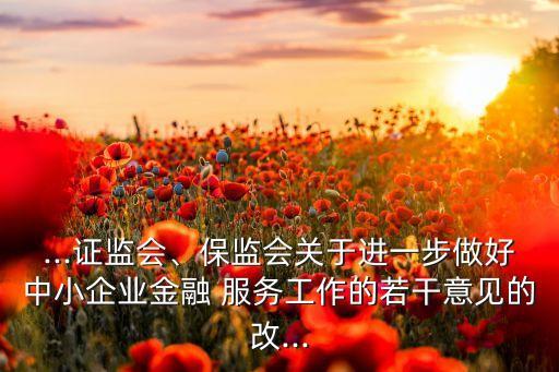 ...證監(jiān)會、保監(jiān)會關(guān)于進一步做好中小企業(yè)金融 服務(wù)工作的若干意見的改...
