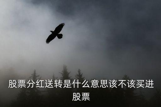  股票分紅送轉(zhuǎn)是什么意思該不該買進 股票