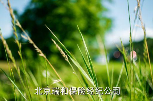  北京瑞和保險經紀公司
