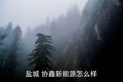 協(xié)鑫集團組織架構(gòu),上海機場集團組織架構(gòu)