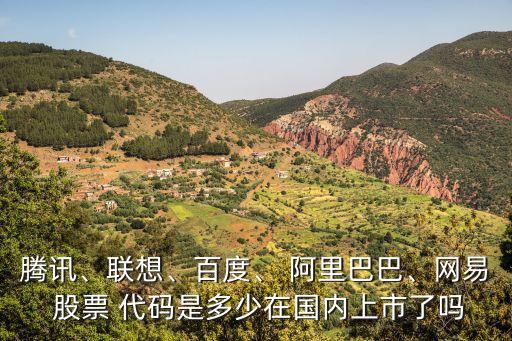 騰訊、聯(lián)想、百度、 阿里巴巴、網(wǎng)易 股票 代碼是多少在國內(nèi)上市了嗎