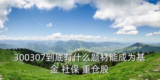 社保喜歡重倉的股票,社?；鹬貍}股票好不好