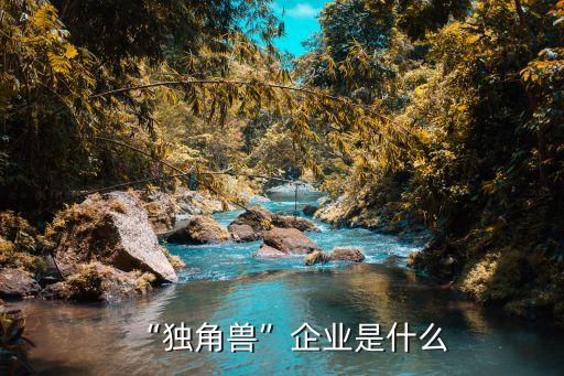 “獨角獸”企業(yè)是什么