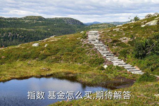 指數(shù) 基金怎么買(mǎi),期待解答