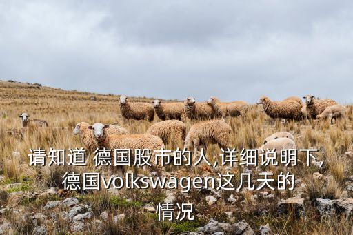 請(qǐng)知道 德國(guó)股市的人,詳細(xì)說明下, 德國(guó)volkswagen這幾天的情況