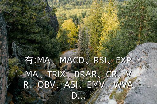 有:MA、MACD、RSI、EXPMA、TRIX、BRAR、CR、VR、OBV、ASI、EMV、WVAD...