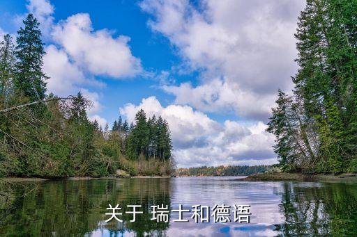 關于 瑞士和德語