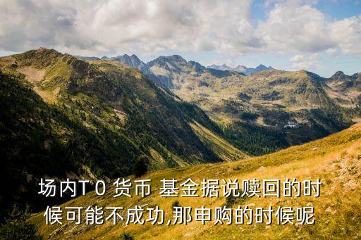 場內(nèi)T 0 貨幣 基金據(jù)說贖回的時(shí)候可能不成功,那申購的時(shí)候呢