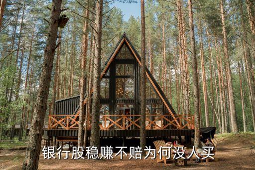  銀行股穩(wěn)賺不賠為何沒(méi)人買(mǎi)
