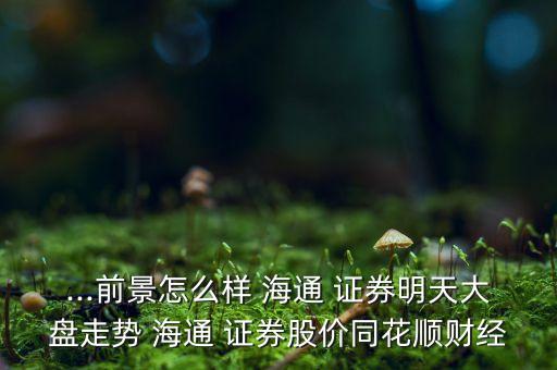 ...前景怎么樣 海通 證券明天大盤走勢 海通 證券股價(jià)同花順財(cái)經(jīng)