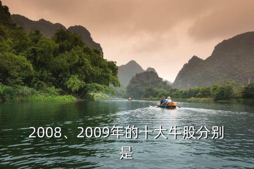 2008、2009年的十大牛股分別是