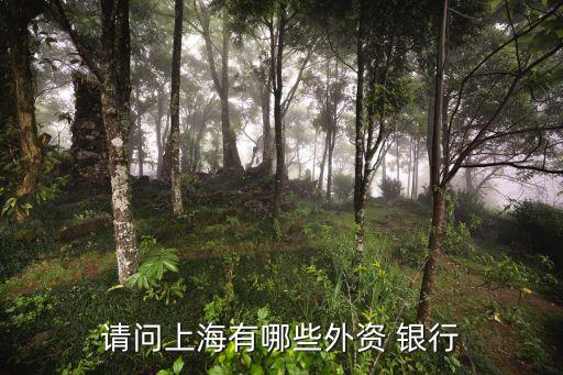 請(qǐng)問上海有哪些外資 銀行