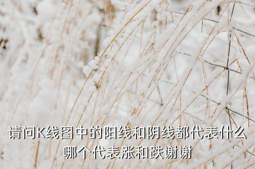 請(qǐng)問K線圖中的陽(yáng)線和陰線都代表什么哪個(gè)代表漲和跌謝謝
