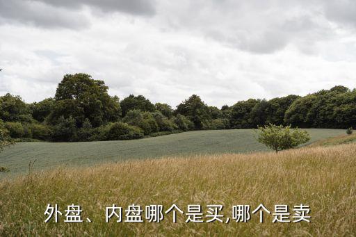 外盤、內(nèi)盤哪個是買,哪個是賣