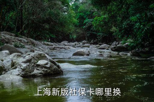  上海新版社?？睦飺Q