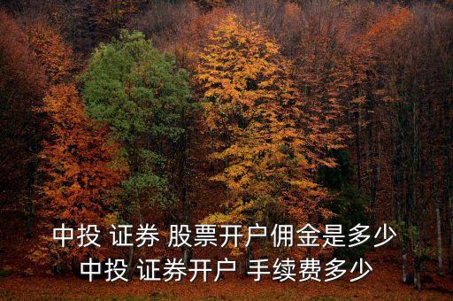  中投 證券 股票開(kāi)戶(hù)傭金是多少 中投 證券開(kāi)戶(hù) 手續(xù)費(fèi)多少