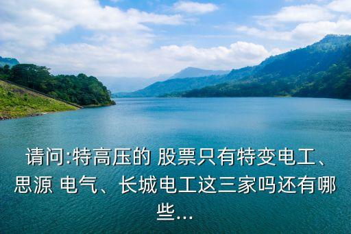請問:特高壓的 股票只有特變電工、思源 電氣、長城電工這三家嗎還有哪些...
