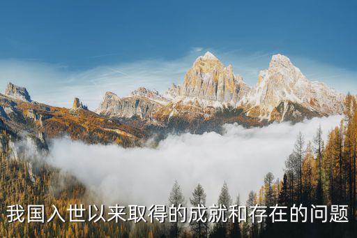 我國(guó)入世以來(lái)取得的成就和存在的問題