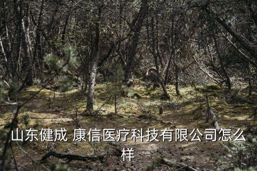 上?？敌湃谫Y租