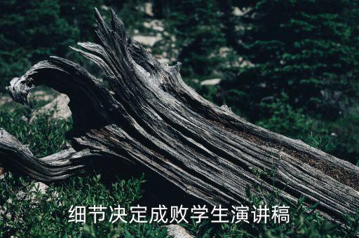 細節(jié)決定成敗學生演講稿