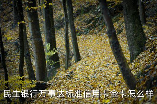 民生銀行萬事達標(biāo)準(zhǔn)信用卡金卡怎么樣