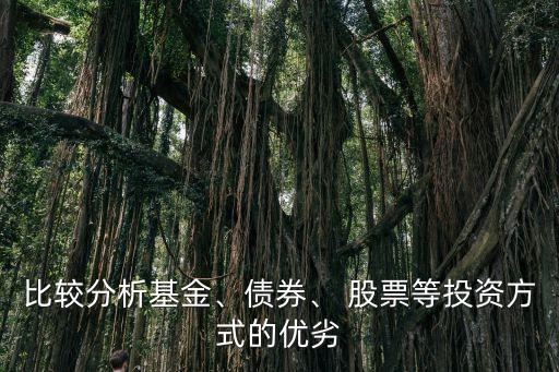 比較分析基金、債券、 股票等投資方式的優(yōu)劣