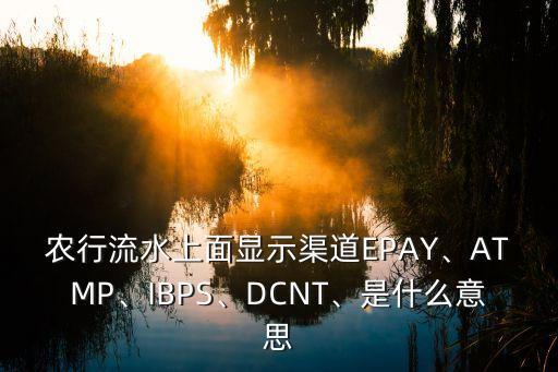 農(nóng)行流水上面顯示渠道EPAY、ATMP、IBPS、DCNT、是什么意思