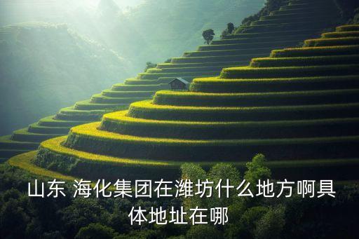 山東?；⑴d化工有限公司,濰坊盛興化工有限公司