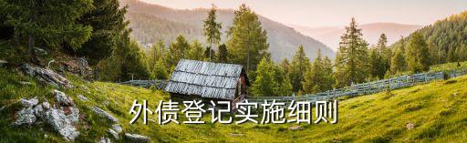 外債登記實施細(xì)則