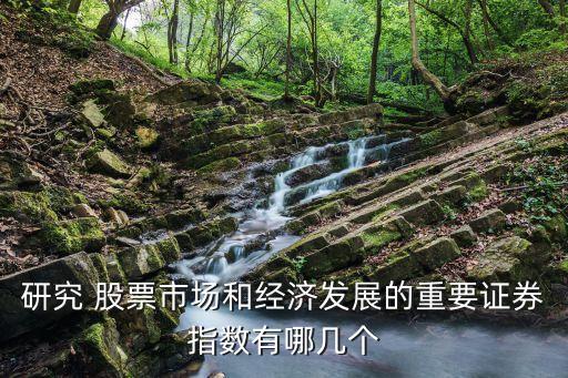 研究 股票市場和經濟發(fā)展的重要證券指數(shù)有哪幾個