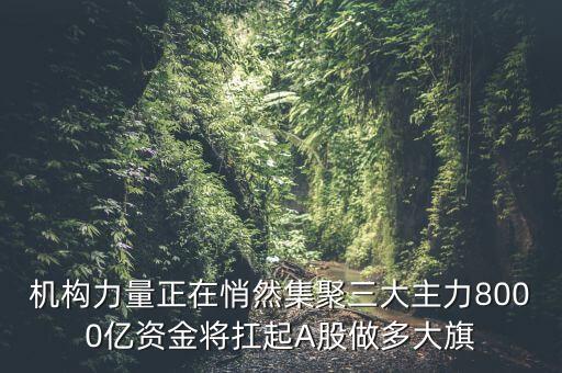 機構力量正在悄然集聚三大主力8000億資金將扛起A股做多大旗