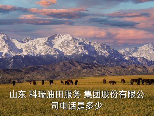山東 科瑞油田服務(wù) 集團(tuán)股份有限公司電話(huà)是多少