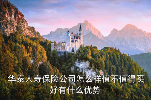  華泰人壽保險(xiǎn)公司怎么樣值不值得買好有什么優(yōu)勢(shì)