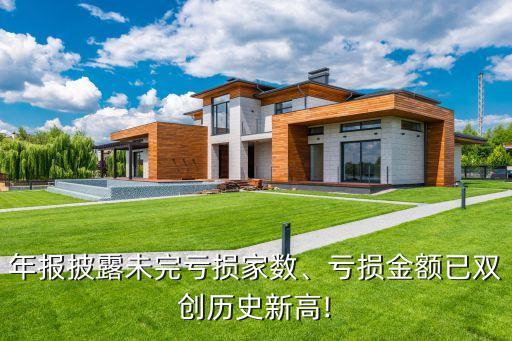 年報(bào)披露未完虧損家數(shù)、虧損金額已雙創(chuàng)歷史新高!