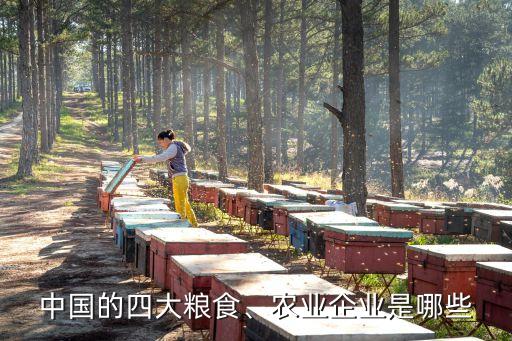 中國的四大糧食、農業(yè)企業(yè)是哪些