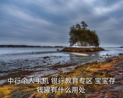 中行個人手機(jī) 銀行教育專區(qū) 寶寶存錢罐有什么用處