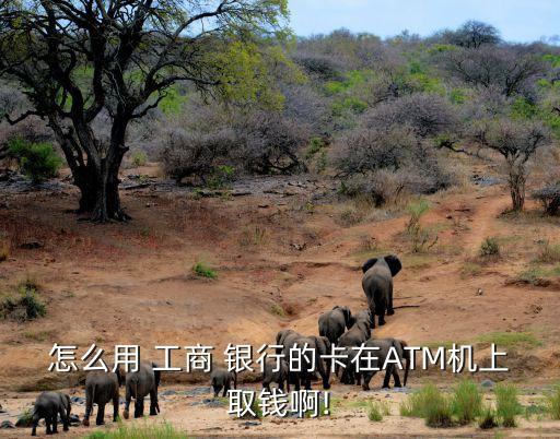 怎么用 工商 銀行的卡在ATM機(jī)上取錢(qián)啊!