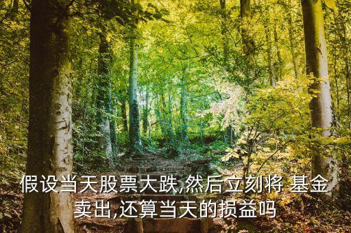 假設(shè)當天股票大跌,然后立刻將 基金賣出,還算當天的損益嗎