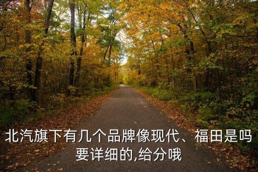 北汽旗下有幾個品牌像現(xiàn)代、福田是嗎要詳細的,給分哦