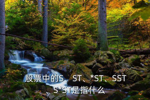  股票中的S、ST、*ST、SST、S*ST是指什么