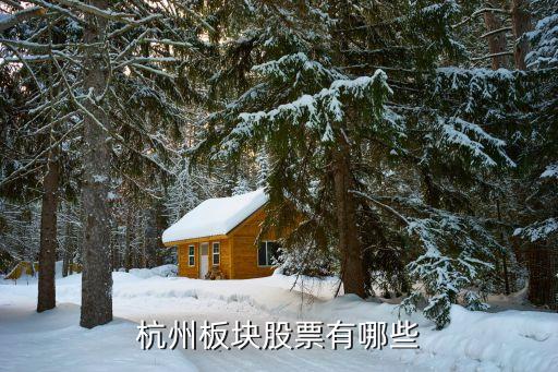 銀江股份有限公司財務問題,銀江技術(shù)股份有限公司怎么樣